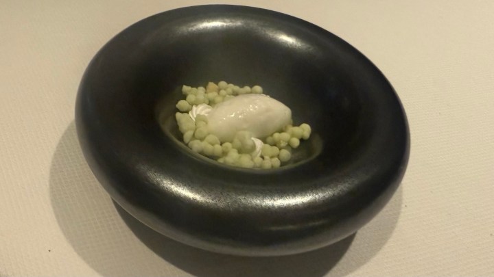 A modern presentation of a goat milk sorbet served in a dark bowl, surrounded by small green pearls, showcasing a sophisticated dessert experience.