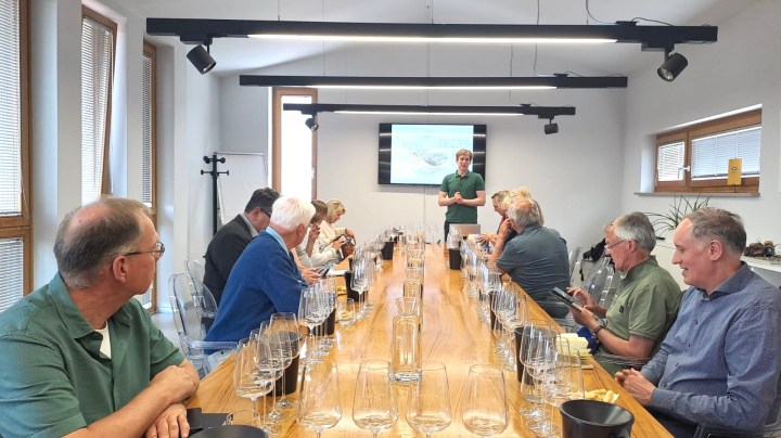 A group of wine enthusiasts seated at a long wooden table with wine glasses in front of them, listening to a presenter in a green shirt, during a tasting event.