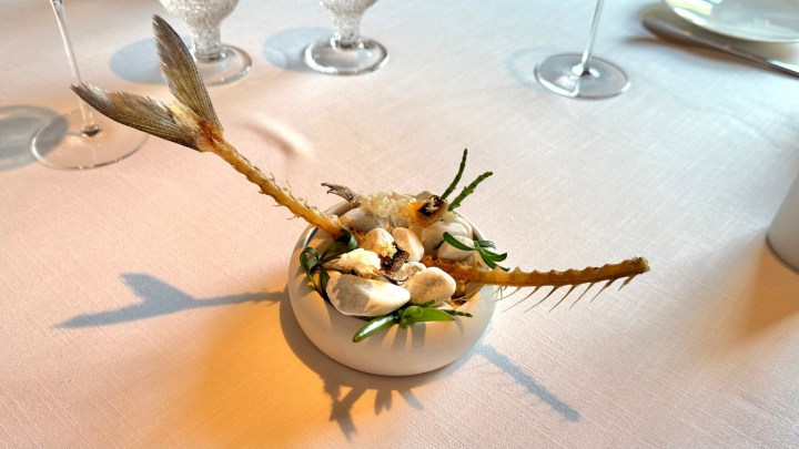 Artfully presented fish dish on a white plate, garnished with edible plants and stones on a table setting.