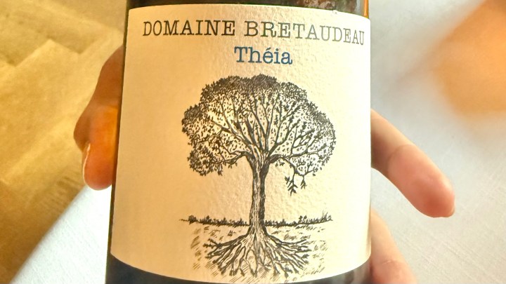 A person holding a bottle of wine labeled 'Domaine Bretaudeau Théia', featuring an illustration of a tree on the label.