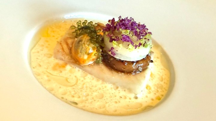 A beautifully plated dish featuring a piece of fish topped with shellfish, delicate green garnishes, and microgreens in a rich sauce, highlighting the flavors of a fine dining experience.