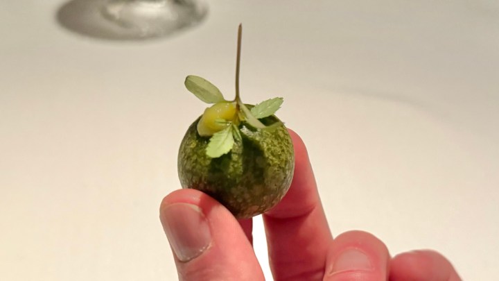 A hand holding a small green ball-like appetizer garnished with leaves and a small yellow topping.