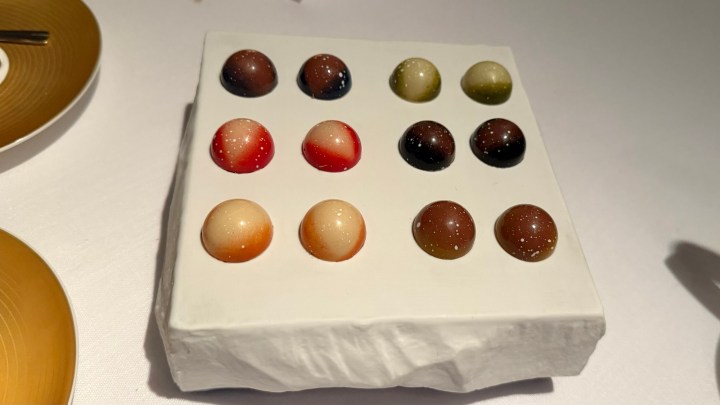 A selection of colorful chocolates arranged on a white serving plate, featuring various shapes and hues.