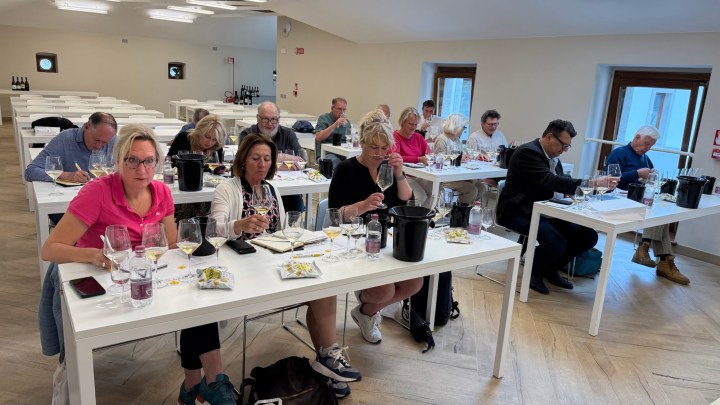 A group of wine enthusiasts sitting at white tables during a wine tasting session, with glasses, water bottles, and tasting notes spread out.