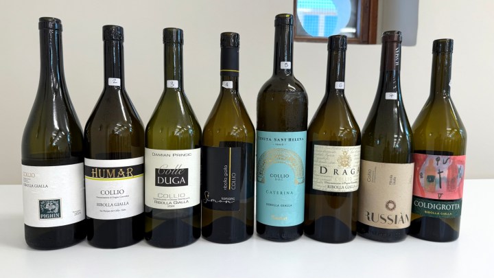 A display of eight bottles of Ribolla Gialla wine from various producers in the Collio region, arranged on a white table.
