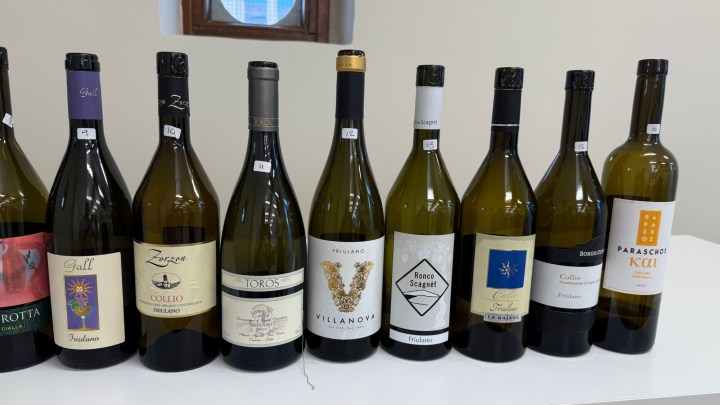 Collection of white wine bottles from various producers in the Collio region, displayed on a table with labels visible.