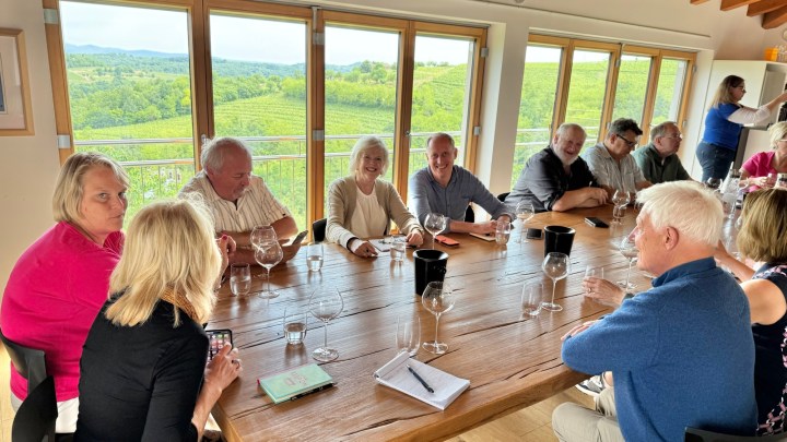 Group of wine connoisseurs gathered around a wooden table enjoying a tasting session, with vineyards visible through large windows.