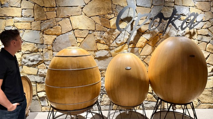 A person observing several egg-shaped wooden fermentation barrels in a winery, with a stone wall and the word 'Opoka' in the background.