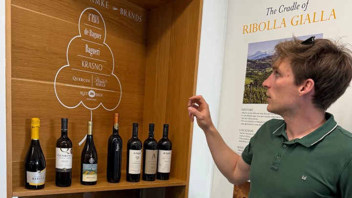 A person gestures towards a display of wine bottles, showcasing various brands including 'Quercus', 'Bagueri', 'Krasno', and 'Klet Brda', with a backdrop describing the region as the cradle of Ribolla Gialla.