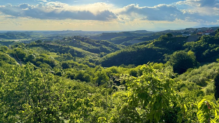 A panoramic view of a lush green landscape in Brda, Slovenia, showcasing rolling hills, vineyards, and a dramatic sky with sunlight breaking through the clouds.