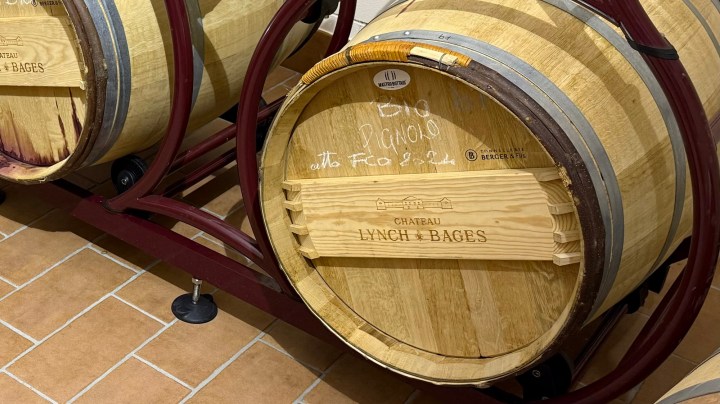 Oak barrels labeled Chateau Lynch Bages, used for aging Pignolo wine, in a winery setting.