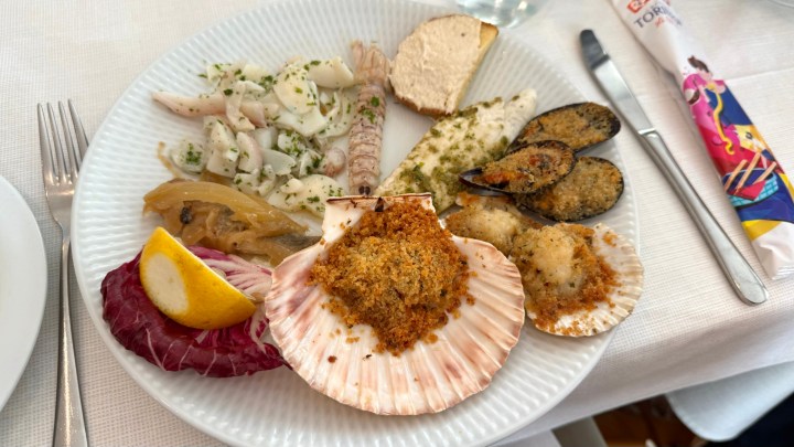 A plate of seafood antipasti featuring mantis shrimp, squid salad, fish pâté, poached white fish, and a scallop topped with breadcrumbs, accompanied by a lemon wedge and radicchio.