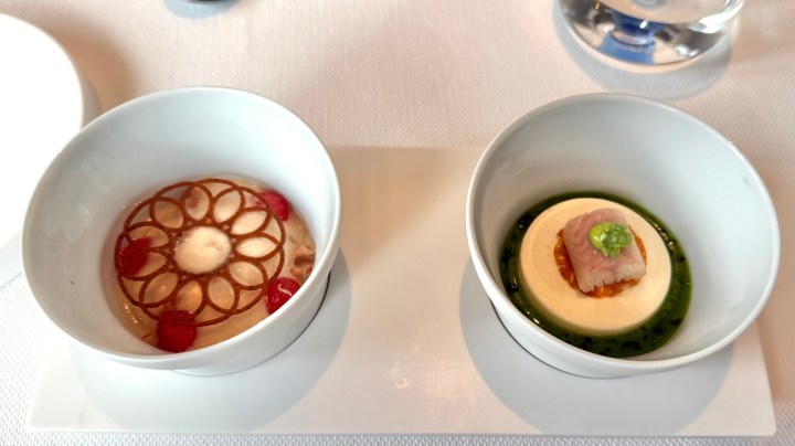 Two elegant amuse bouche dishes served in white bowls, one featuring a delicate presentation with a design of sugar and red berries, and the other showcasing a creamy base topped with a slice of fish and green garnish surrounded by a vibrant sauce.
