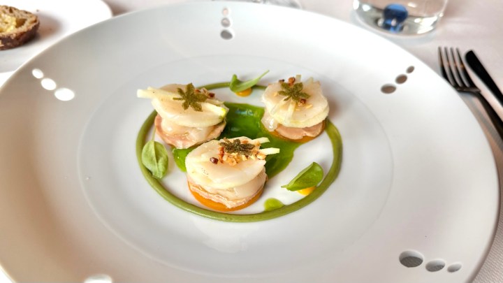 Elegant dish of raw scallops topped with apple and avocado, arranged artistically on a white plate with a green sauce and garnishes.