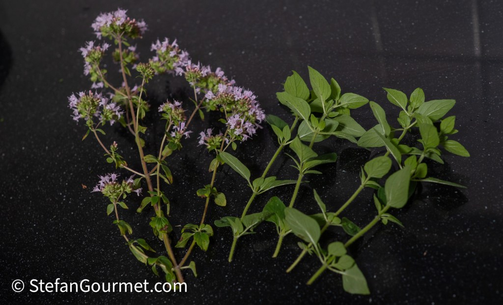 Fresh oregano and flowering oregano sprigs arranged on a dark surface.