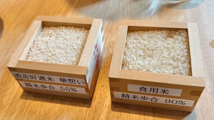 Two wooden boxes of polished rice, labeled with their respective polishing percentages: 55% for sake brewing rice and 90% for table rice.
