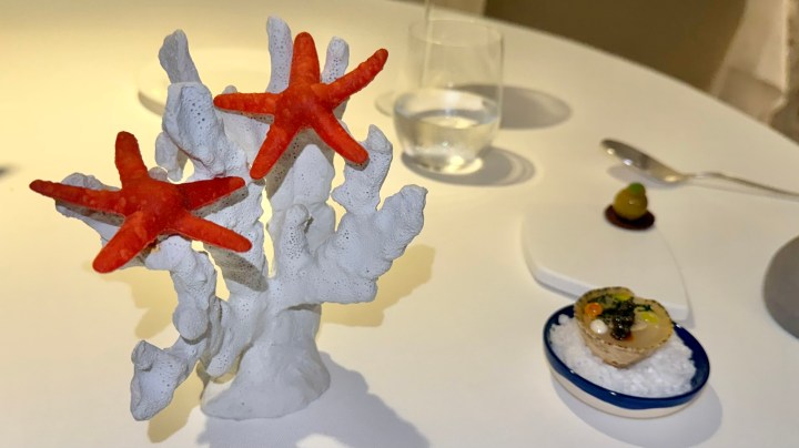 A decorative food presentation featuring white coral and two red starfish, accompanied by a small dish of seafood placed on salt.