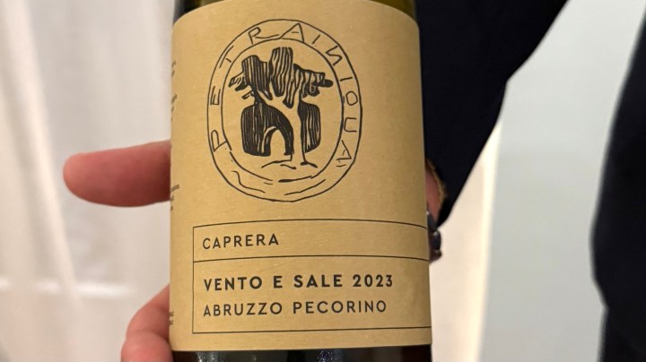 A person holding a bottle of Caprera Vento e Sale 2023 Abruzzo Pecorino wine, featuring a stylized label with an illustration.