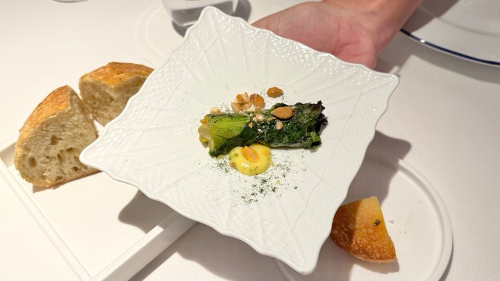 A hand holding a decorative plate with a dish featuring greens, nuts, and sauce, alongside slices of bread on a separate plate.