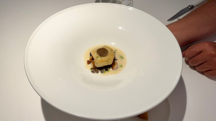 A plate featuring a creamy dish with a square portion of a pale food item topped with a dark sauce, surrounded by a light-colored sauce, presented elegantly in a white bowl.