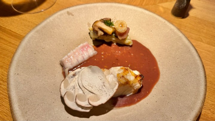 A gourmet dish featuring grilled turbot on a plate, accompanied by a rich red sauce, garnished with mushrooms and delicate flavors.