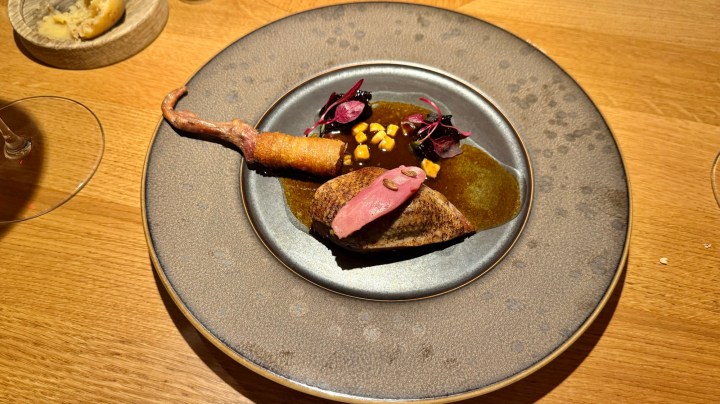 A gourmet dish featuring grilled pigeon breast with a crispy croquette, garnished with greens and corn, served on a round plate.