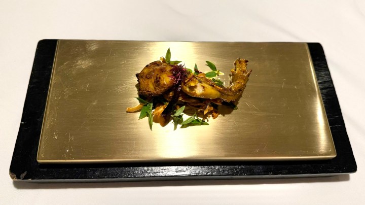 A plated dish featuring a grilled frog leg on a gold surface, garnished with microgreens and herbs.