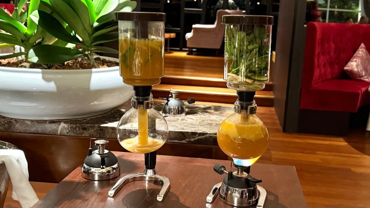 A tabletop display with two glass percolators filled with yellow broth and fresh herbs, accompanied by a large potted plant in the background.