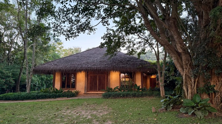 A modern restaurant building with a thatched roof, surrounded by lush greenery and trees.