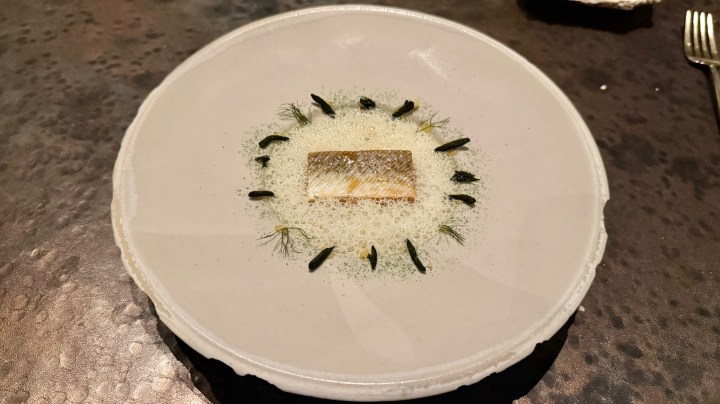A gourmet dish featuring a piece of fish, presented artfully on a white plate with herbs and a frothy garnish.
