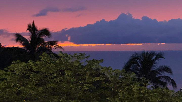 A stunning sunset view over the ocean, with silhouetted palm trees in the foreground and vibrant pink and purple clouds in the sky.