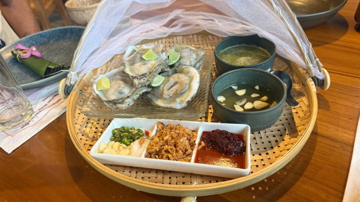 A presentation of fresh oysters on a bamboo tray covered with a protective mesh, accompanied by lime wedges and a selection of dipping sauces in small bowls, including a green curry sauce and various condiments.