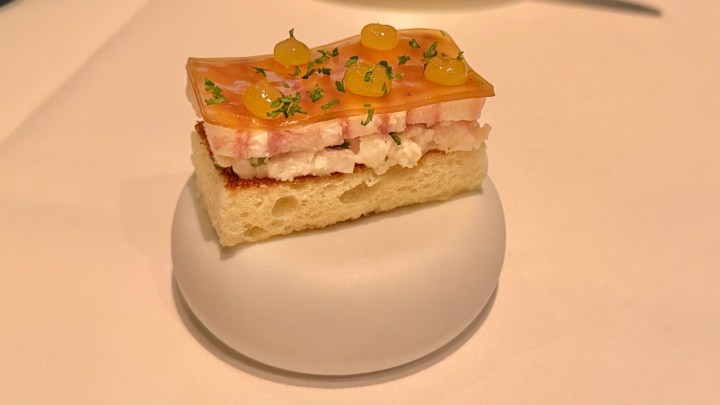 An elegant appetizer featuring a slice of bread topped with a layer of seafood, garnished with gelatin, yellow droplets, and fresh herbs, served on a smooth white dish.