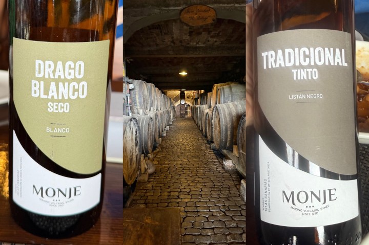 Two wine bottles labeled 'Drago Blanco Seco' and 'Tradicional Tinto' with a cellar filled with barrels in the background.