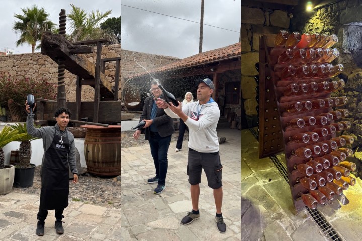 A young man in an apron holds a bottle near a traditional wine press in a vineyard.