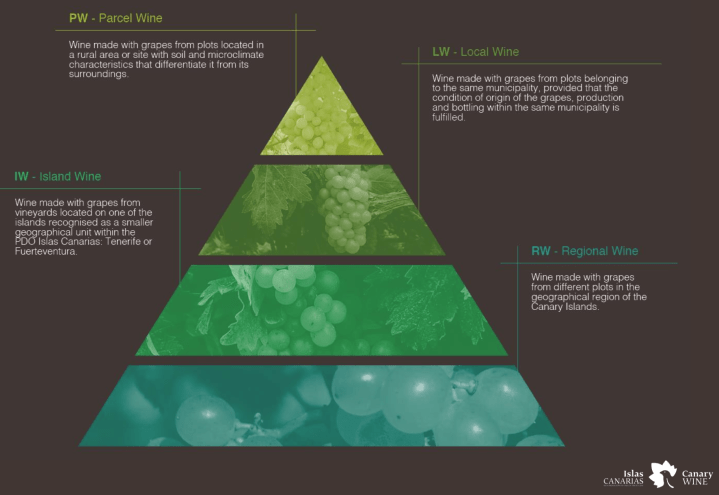 Infographic illustrating the categories of Canary Wine: Parcel Wine (PW), Local Wine (LW), Island Wine (IW), and Regional Wine (RW), with descriptions of each category's origin and characteristics.