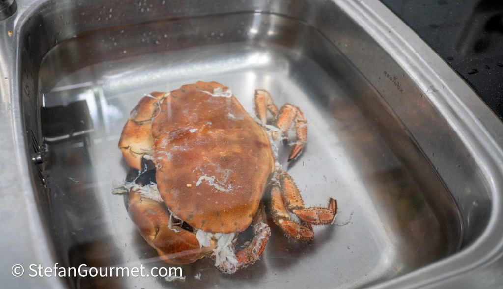 A live crab resting in a stainless steel sink filled with water.