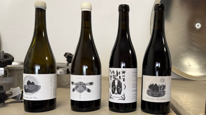 Four wine bottles displayed on a countertop, featuring unique artistic labels in black and white.