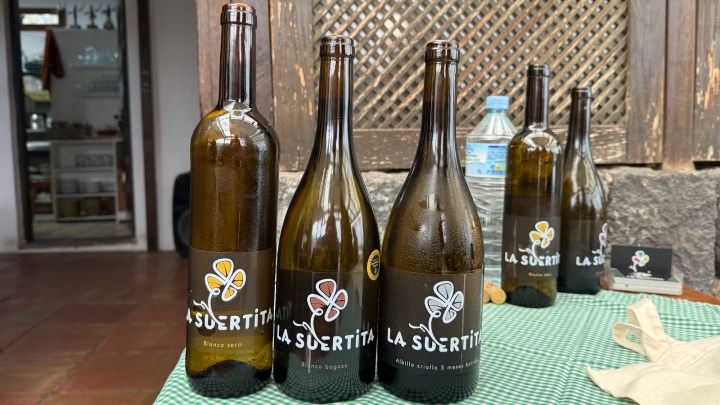 A collection of wine bottles labeled 'LA SUERTITA' with various varieties, displayed on a green checkered tablecloth in a rustic setting.