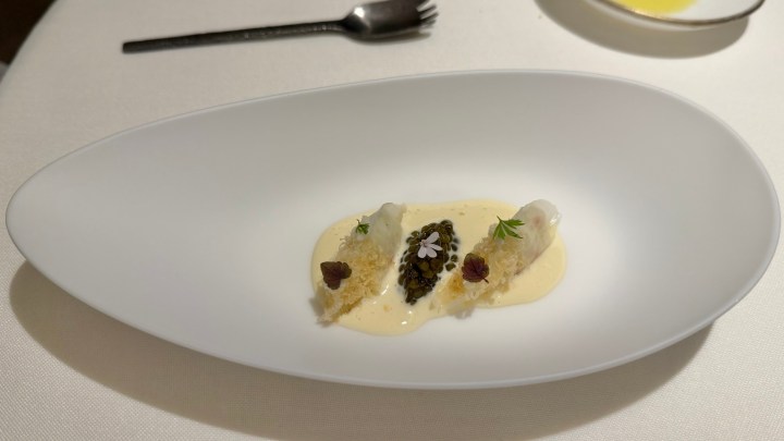 A stylish white dish featuring three pieces of delicately prepared seafood atop a creamy sauce, garnished with small herbs and a flower petal.