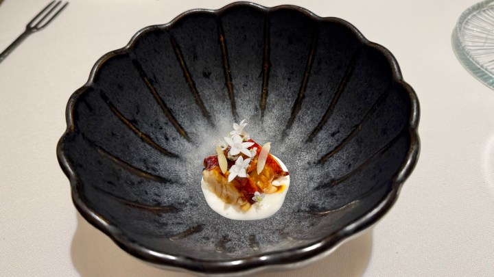 A modern gourmet dish served in a textured black bowl, featuring a small portion of colorful ingredients topped with edible white flowers and surrounded by a creamy sauce.