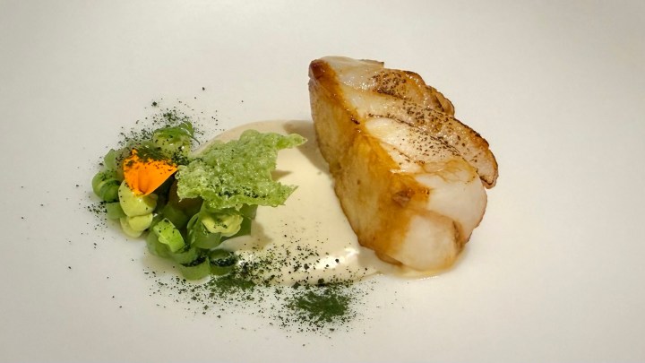 A beautifully plated dish featuring a piece of cooked fish, garnished with creamy sauce, fresh greens, and vibrant herbs.