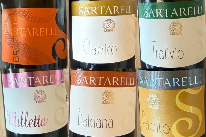 Collection of wine bottles from Sartarelli featuring labels for Brut, Classico, Tralivio, Milietta, Balciana, and Passito.
