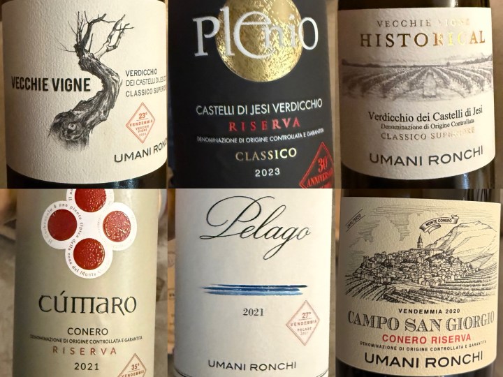 A collection of six wine bottle labels featuring various designs and names including Vecchie Vigne, Plenio, Vecchie Vigne Historical, Cúmaro, Pelago, and Campo San Giorgio. The bottles highlight different vintages and origins in Italian wine-making.