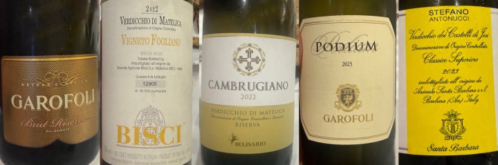 A collection of wine bottles featuring labels from various producers including Garofoli, Bisci, Cambrugiano, and Stefano Antonucci, highlighting Verdicchio di Matelica wine.