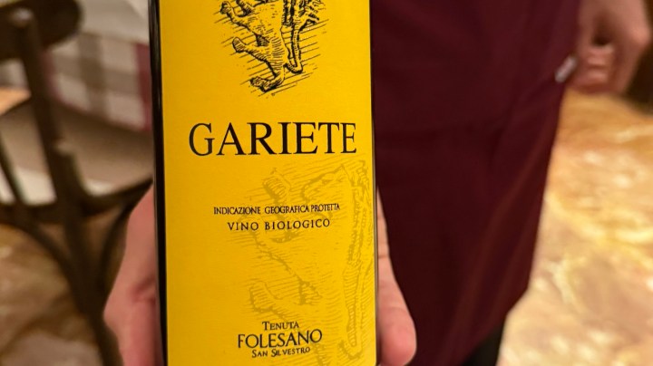 A close-up of a bottle of Gariete organic wine, featuring a yellow label with the text 'GARIETE' and illustrations, held by a person.