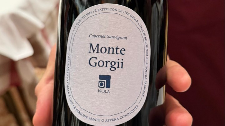 A close-up image of a wine bottle label featuring 'Monte Gorgii' Cabernet Sauvignon from Isola, with a cream-colored background and blue text.