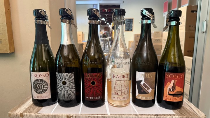 A lineup of seven bottles of sparkling wine from Paltrinieri, featuring various labels including Grosso, Eclisse, Radice, Piria, and Solco.