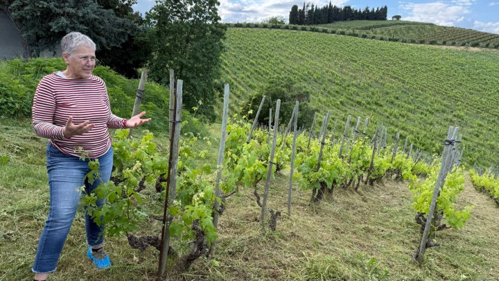 A woman in a striped shirt stands among grapevines in a vineyard, gesturing as she talks. The landscape features rolling hills covered in vines under a partly cloudy sky.
