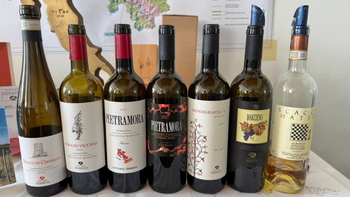 A selection of six wine bottles displayed on a table, labeled with their respective names and years, showcasing a variety of wines.